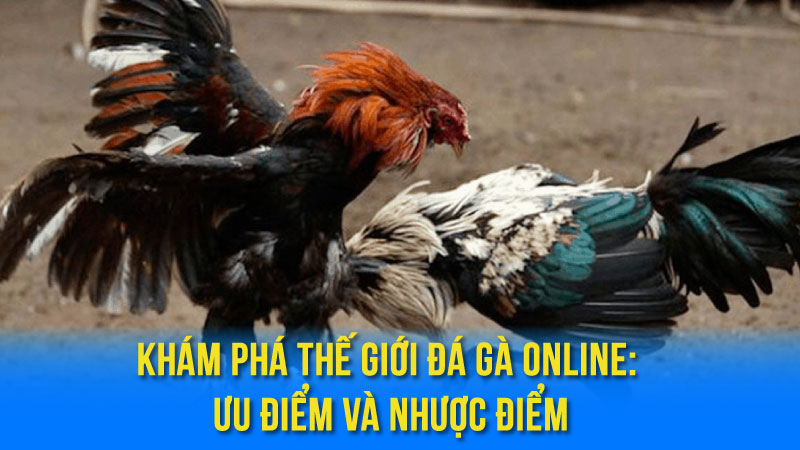 Đá Gà Mạng: Thể Loại Giải Trí Trực Tuyến Nổi Bật 3 Khám Phá Thế Giới đá gà online: Ưu Điểm Và Nhược Điểm