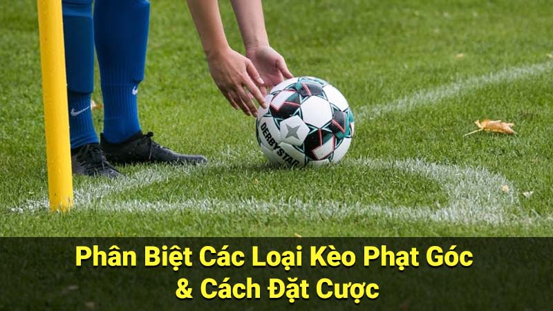 Cách Đặt Cược Kèo Phạt Góc Hiệu Quả: Hướng Dẫn Từ A-Z 4 Phân Biệt Các Loại Kèo Phạt Góc & Cách Đặt Cược